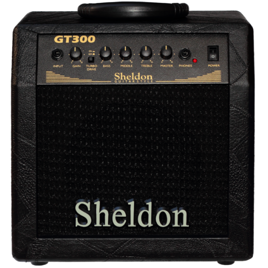 Amp Sheldon Guitarra 30W 8P GT300