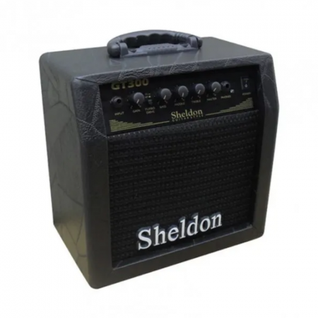 Amp Sheldon Guitarra 30W 8P GT300